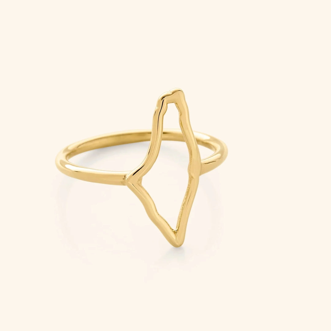 Golden Hollow Forged Ring 0