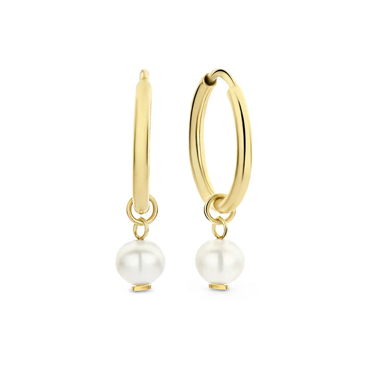Delia Crest Earrings Gold