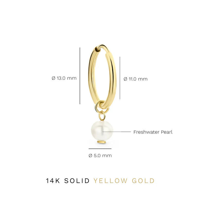 Delia Crest Earrings Gold