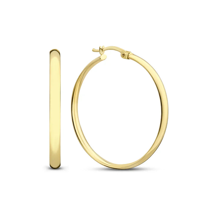 Noa Serane Earrings Silver